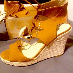 Latigo wedges